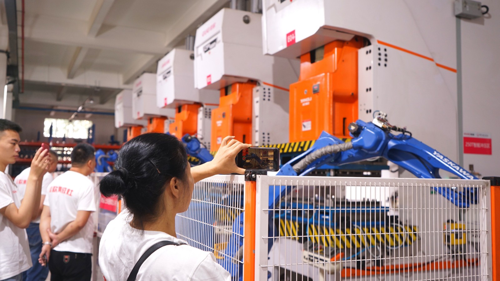 1594454508528849.jpg DSC03995_WPS圖片.jpg