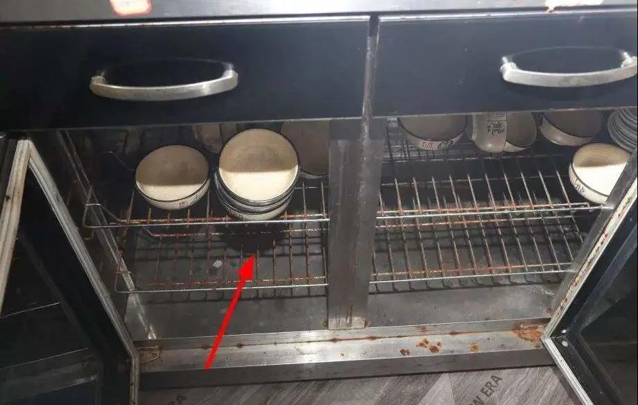 除了殺菌，一臺消毒柜可以多貼心？