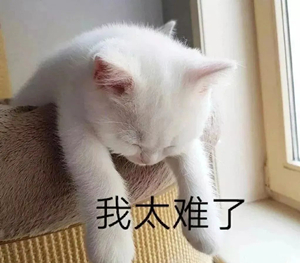 時間很急，美味告急！幸好有佳歌A6DZK蒸烤獨立集成灶！